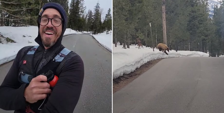 бегун, медведь, спасение, вайоминг