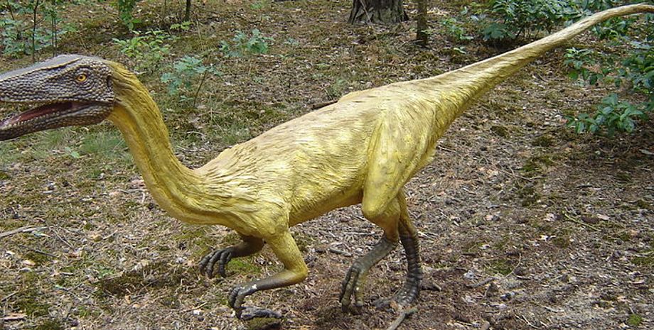 целофізиса