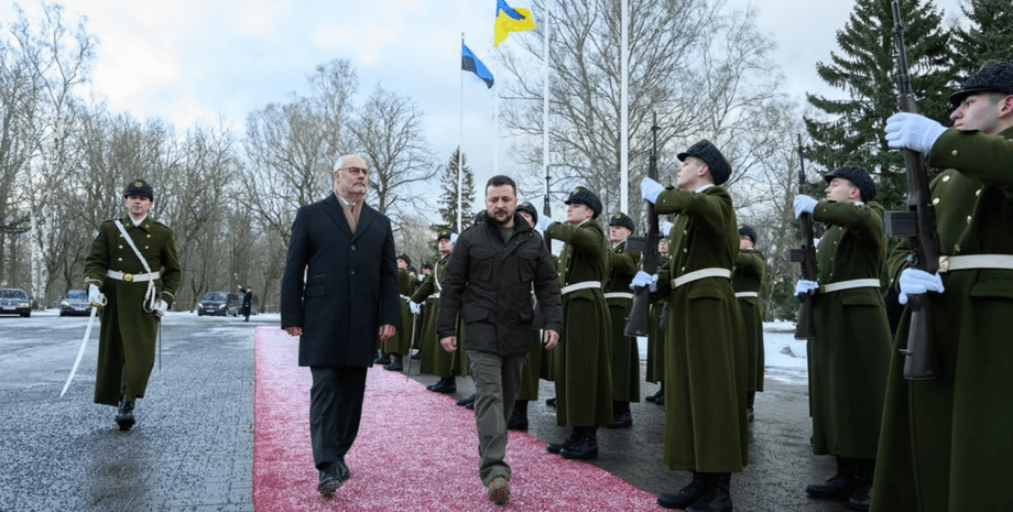 Алар Карис, Владимир Зеленский