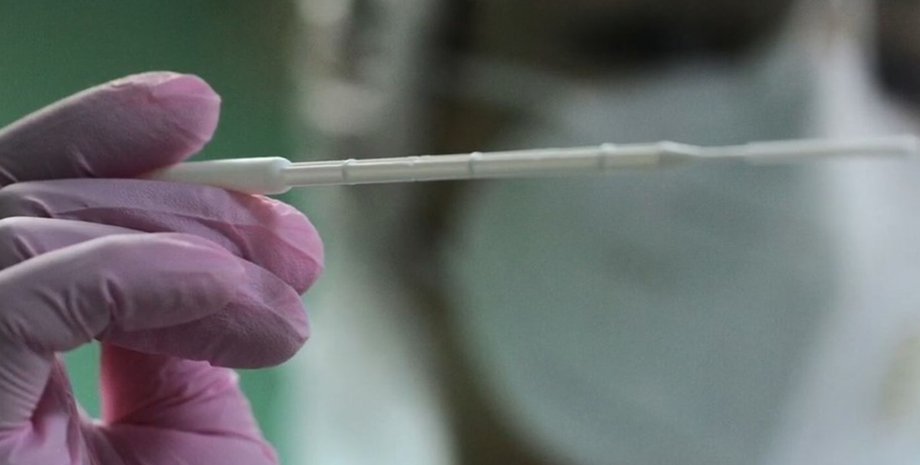 коронавирус, новый штамм, SARS-CoV-2