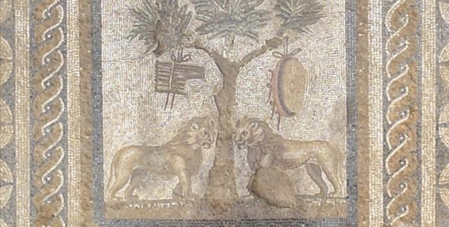 мозаика, Турция, история, цвет, львы, находка, археологи, археология, театр, культура, сооружение, город, Прусиас-ад-Гипиум, раскопки, декор, тессера