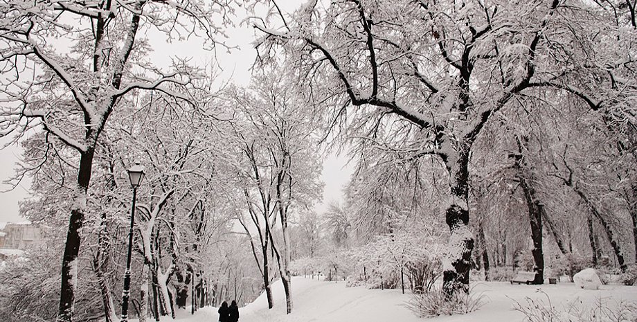 Ярослав Дебелый, Фокус.ua