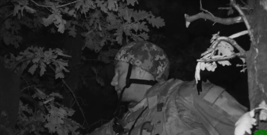 Скриншот видео