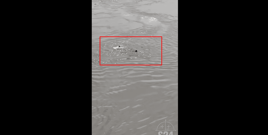 авиакрушение в цар