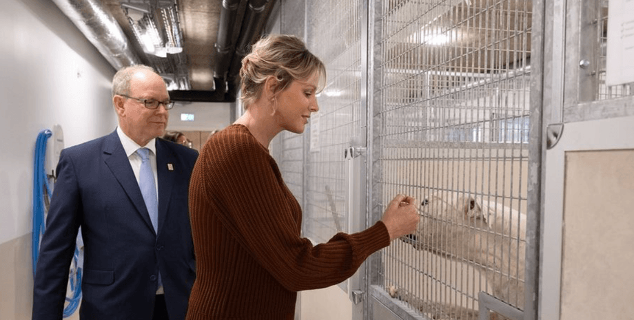 Князь Альбер ІІ та княгиня Шарлін, княгиня монако, князь монако, княгиня шарлін стиль, притулок для тварин