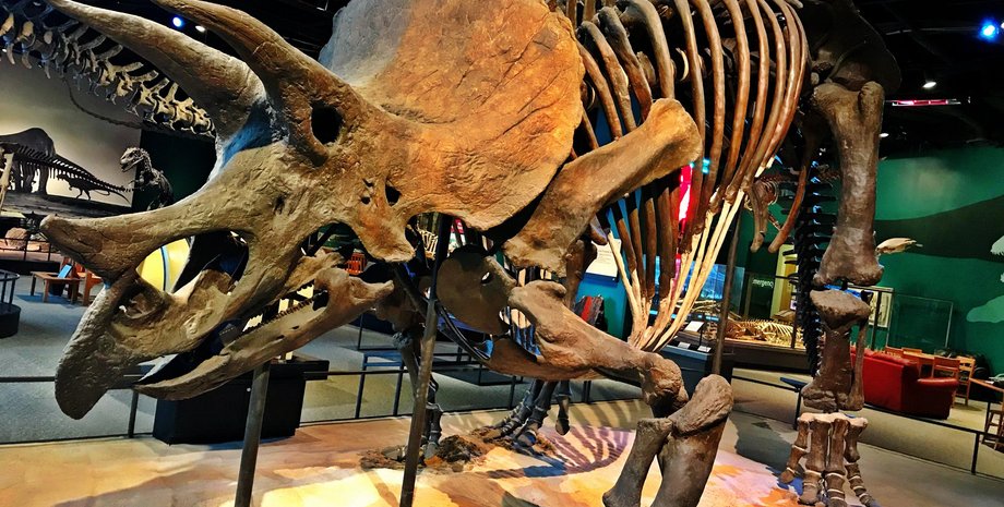 Великий Джон, динозавр