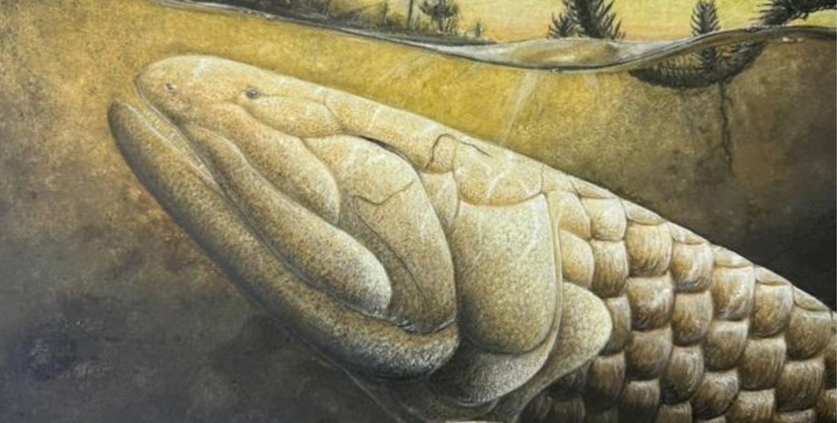 антарктика рыба