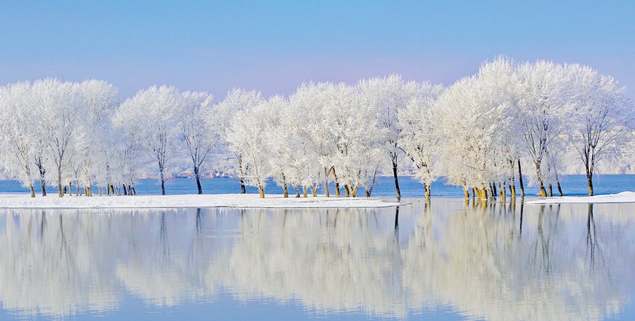 Фото: Getty Images