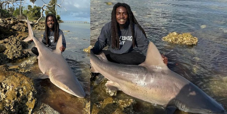 Рыбак с акулой, рыбак, акула, поймал акулу, огромная акула, морской хищник, животные, соцсети, курьезы, голыми руками