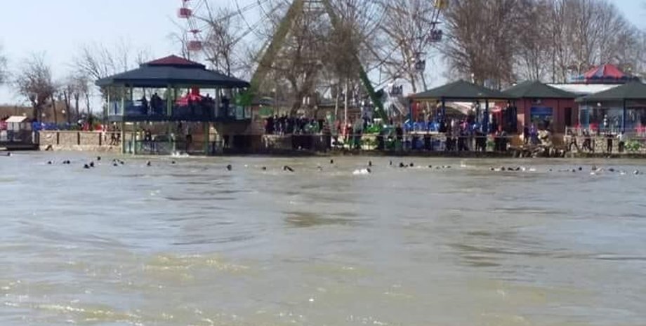 Фото: twitter.com/alihashem_tv