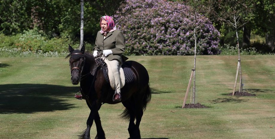 королева Єлизавета ІІ, кінь