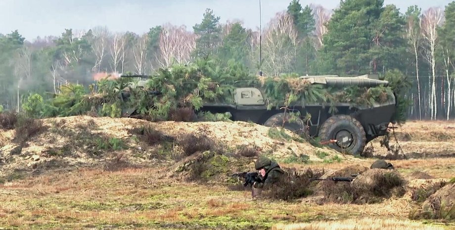 ліс, техніка, військова техніка Білорусь,
