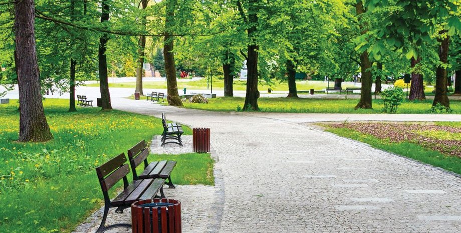 Парк Нивки / Фото: zeleniyostriv.ua