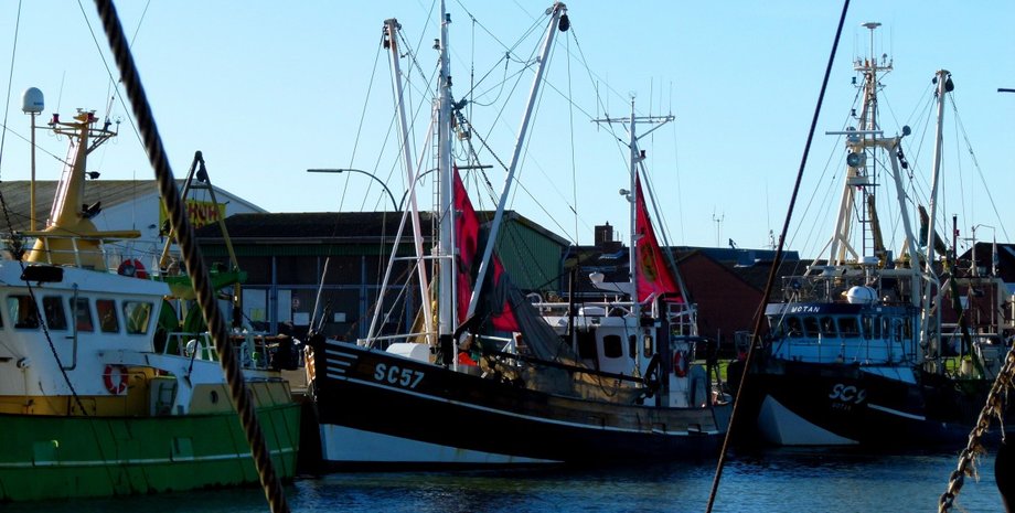 Фото: Rustelegraph