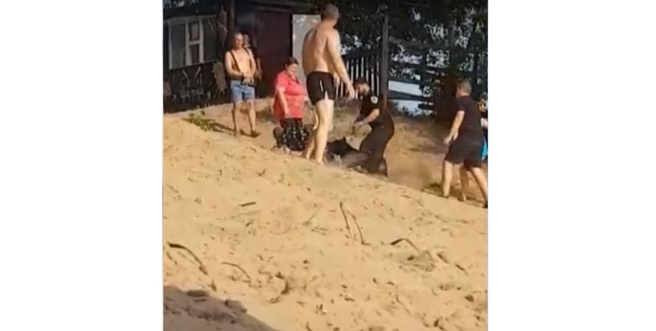 Нападение, собака, Днепр