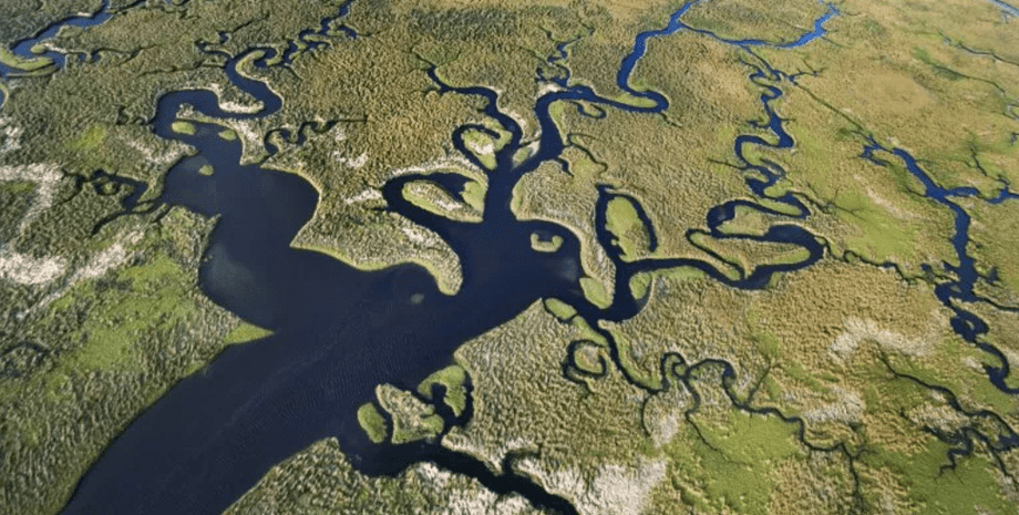 Засуха во Флориде, США