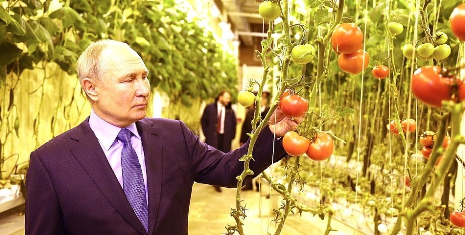 Володимир Путін відвідав оранжерею на Чукотці