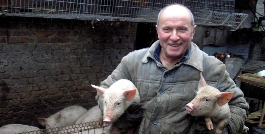 почему аграрии могут отказаться от выращивания зерновых пшеница, зерно