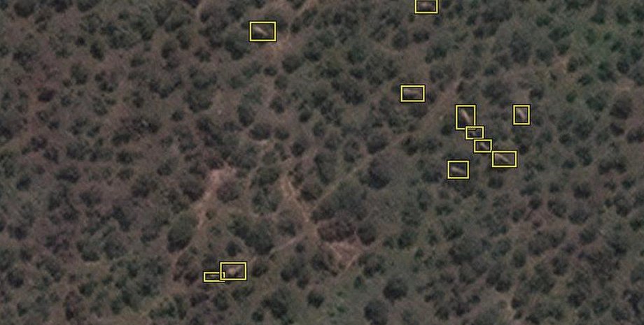 слоны, природа, Африка, снимки