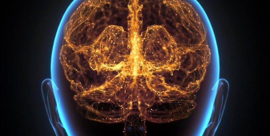 мозок, смерть мозку