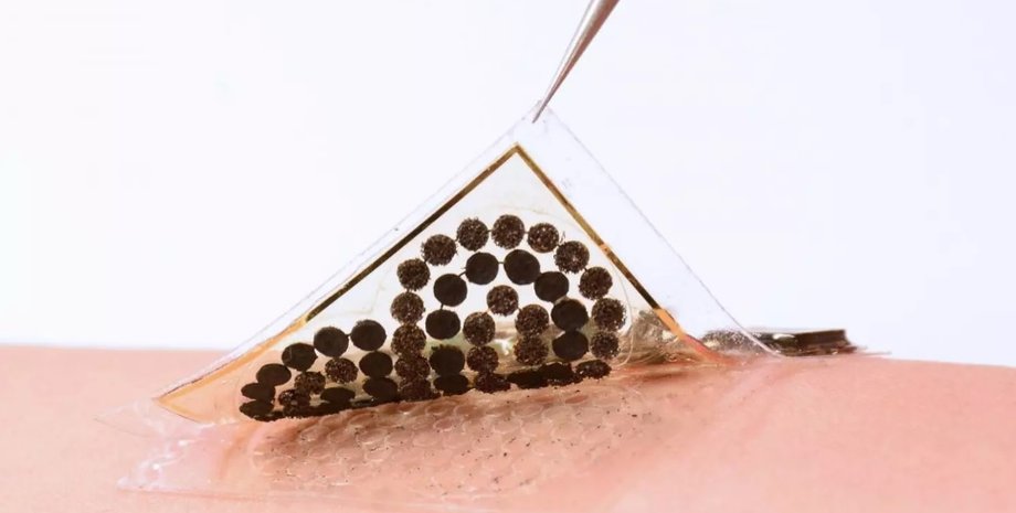 California Institute of Technology