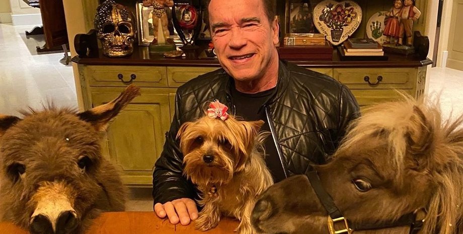 Фото: Instagram schwarzenegger