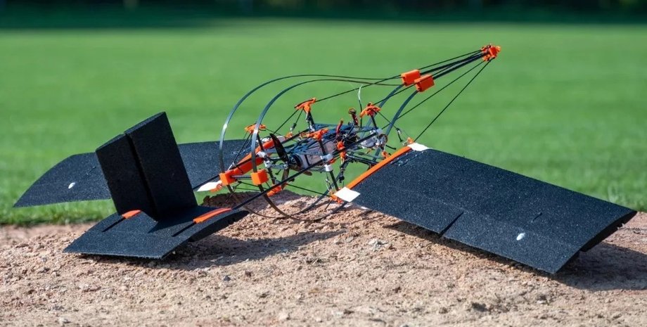 Прочный дрон, вдохновленный дятлом