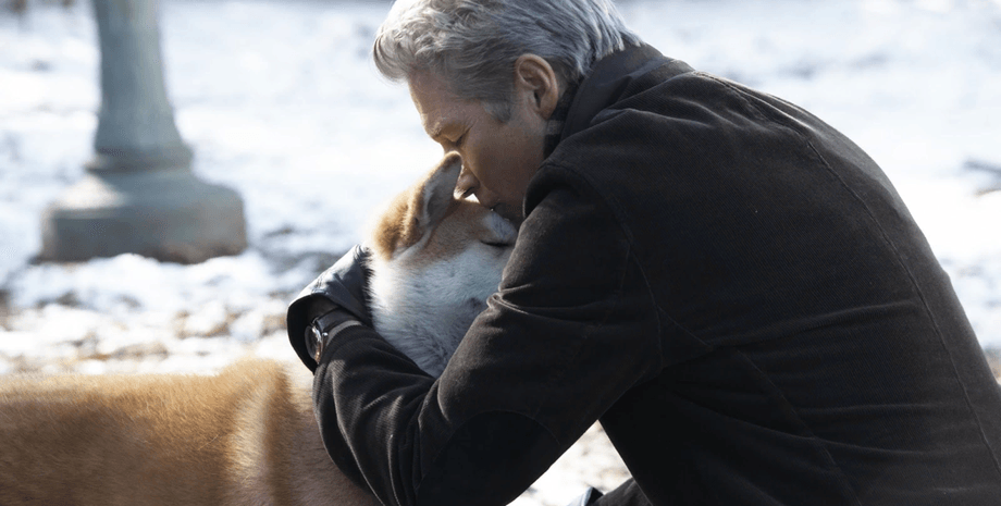 Хатико, фильм, собака