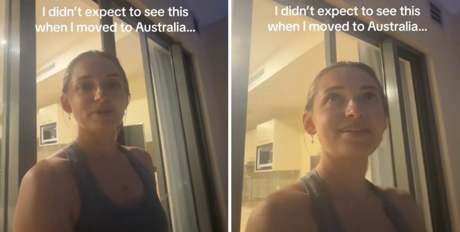 Австралия животные