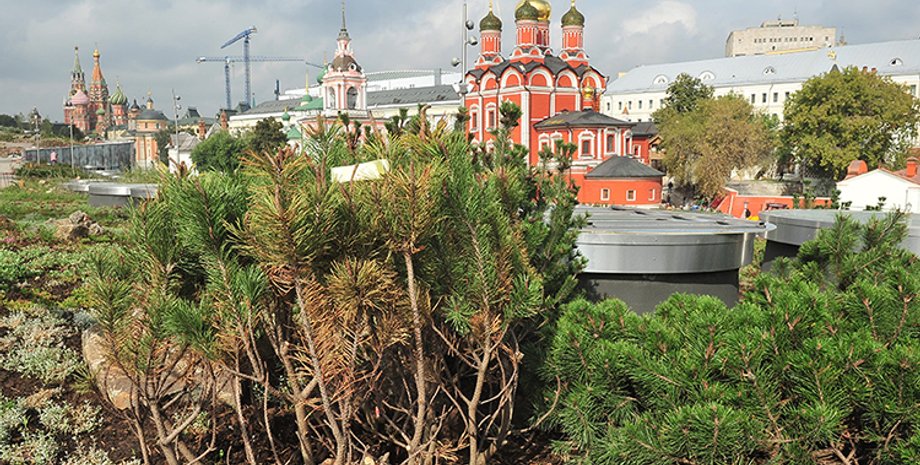 Фото из открытых источников