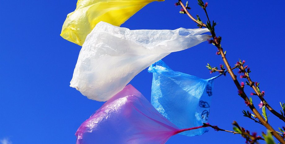 Фото: nat-geo.ru