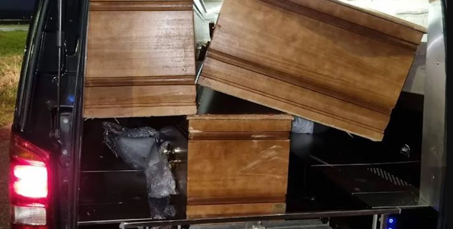 Наркотики в трунах знайшла поліція в Нідерландах, злочини, кримінал, курйозні історії