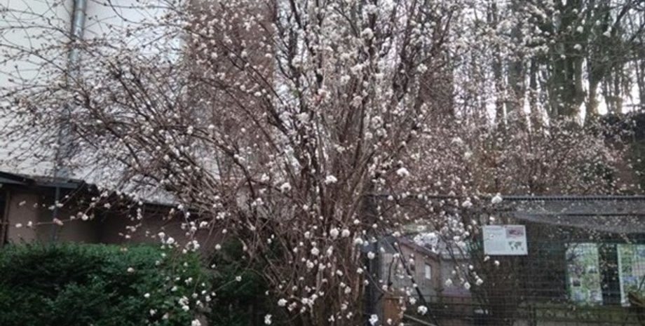 Фото: Facebook Евгения Поликарпова