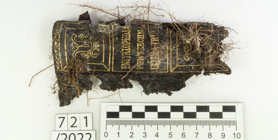 корешок энциклопедии, линейка, стол, фото