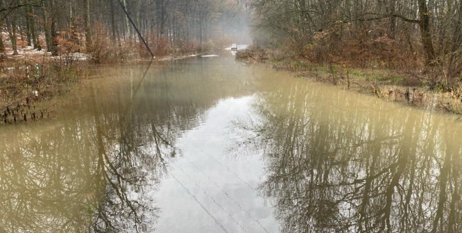 Річка, Закарпаття, потоп, повінь, паводок, Закарпатська область, фото