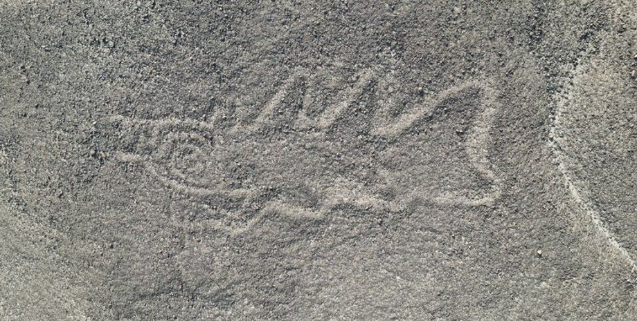 археологія, археологи, геогліфи, Наска, ШІ, дослідження, кит, ніж, голови, малюнки, рельєф, дослідження, ритуал, тварина, люди, стежка, сцени