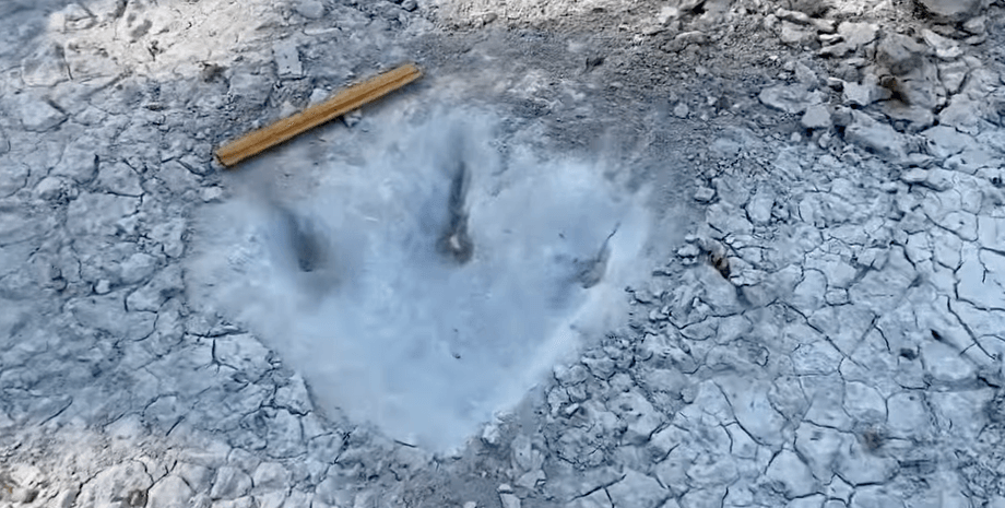 динозавр, акрокантозавр, динозаври хижаки