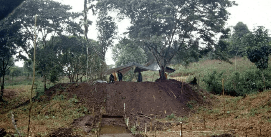Амазония, история, Колумб, город, поселение, цивилизация, развитие, исследование, площадь, платформа, культура, мая, открытие, примитивные условия, джунгли