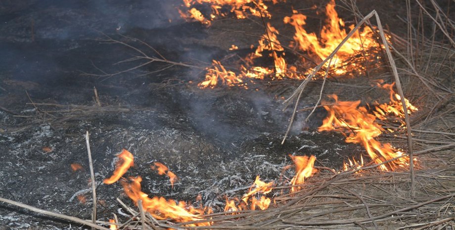 facebook/pressjfo.news