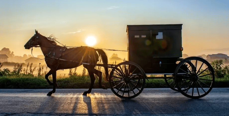 Лошадь с повозкой, семья амишей, угнали лошадь, украли повозку, амиши, супермаркет, полиция, женщина украла лошадь