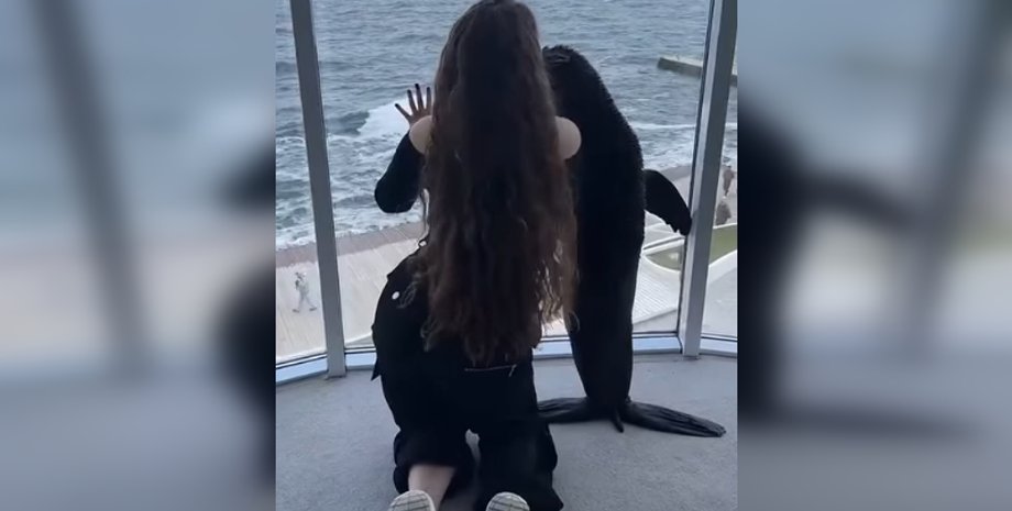 Дельфинарий Немо, немо, дельфинарий, одесса, немо скандал, морские котики немо, морские котики, тик-ток морские котики