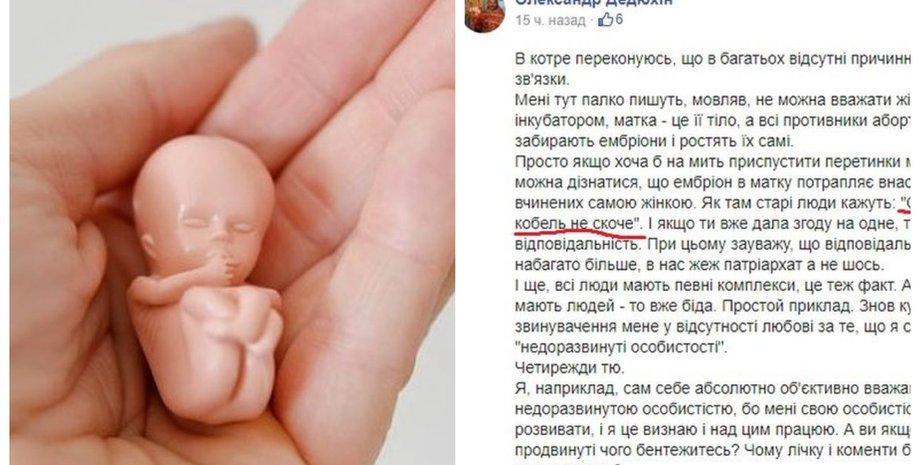 Александр Дедюхин, священник, депутат, аборты, сексизм,