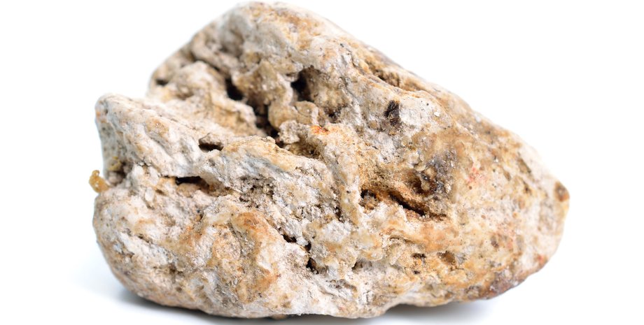 амбра, глыба, фото, слизь