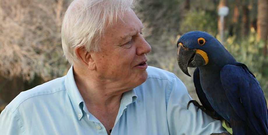 Дэвид Аттенборо