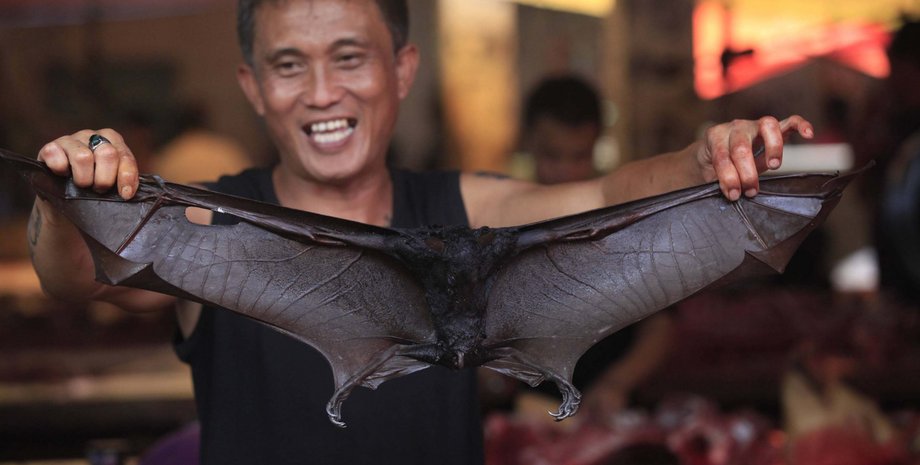 Фото: JP/Dhoni Setiawan