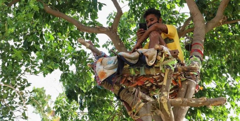 Мндия, студент, коронавирус, самоизоляция, дерево,