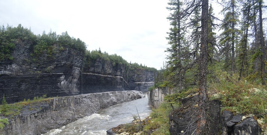 река Пил, деревья, природа, фото