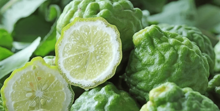 бергамот, цитрус