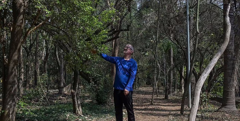 Элио да Силва