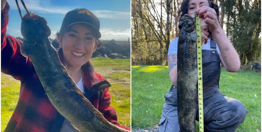 Жінка із США виловила рибу рекордних розмірів, рибальство, фото, США, встановлення рекордів, фото, курйози